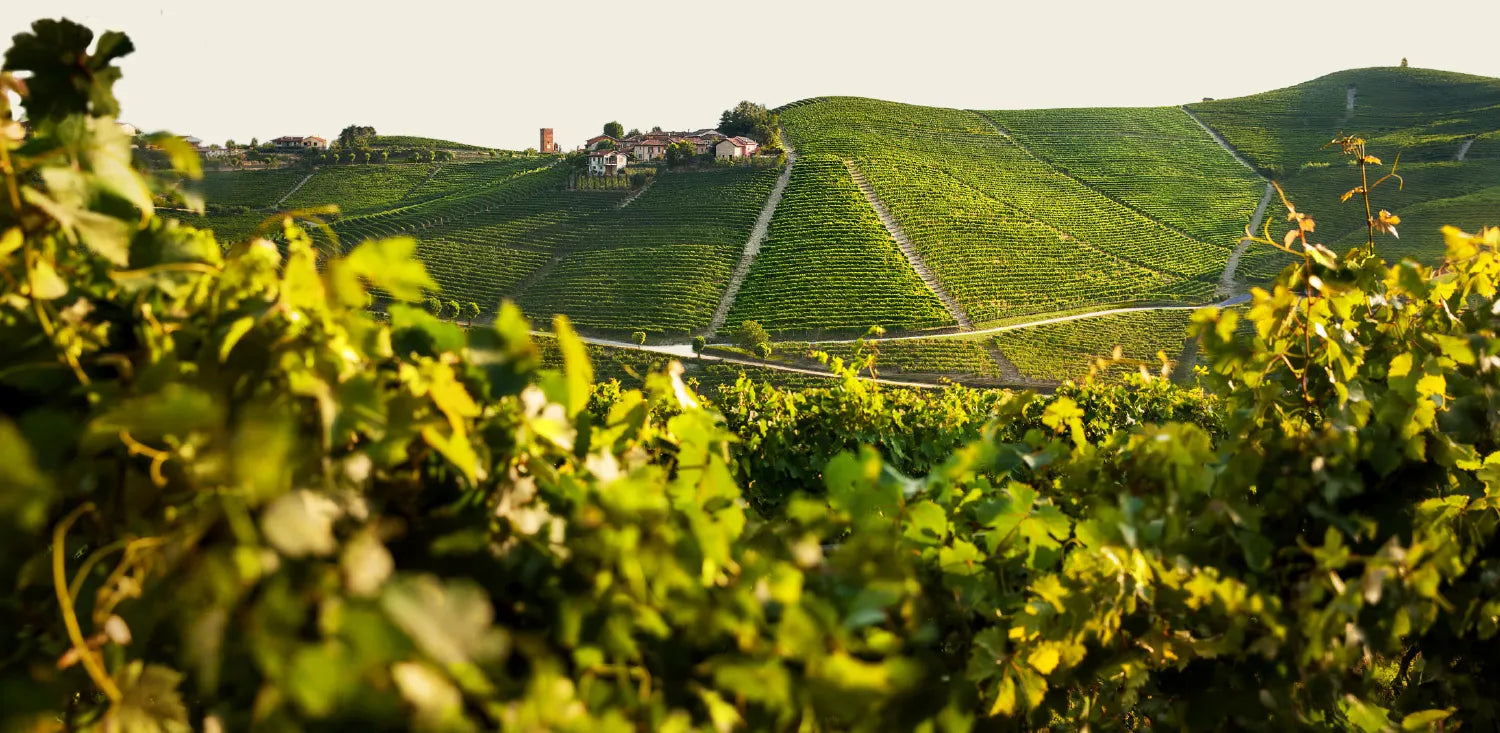 Produttori del Barbaresco