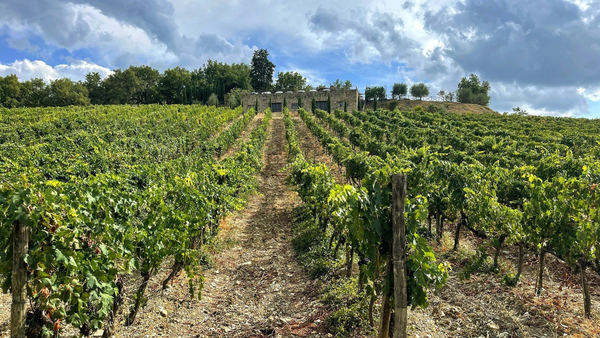 Italy - The Nude Wine Co