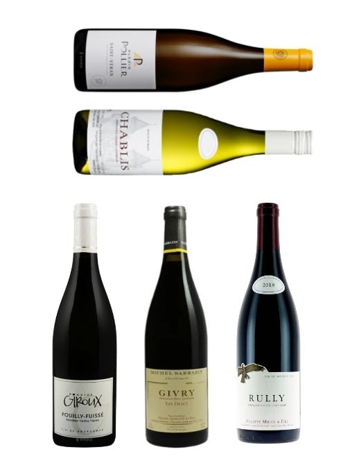 The Icons Of Burgundy | Mixed Box - The Nude Wine Co