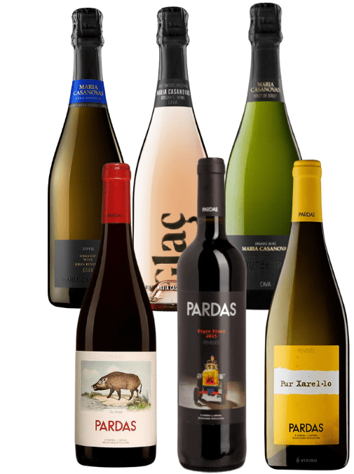 Spain's Best Kept Secrets Box | Premium Penedes - The Nude Wine Co