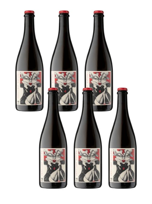 Case Deal: Albert des Contis Pet - Nat, France - The Nude Wine Co