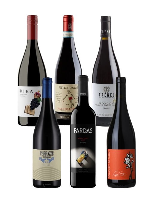 Wines of the Year 2025 | Red Box - The Nude Wine Co