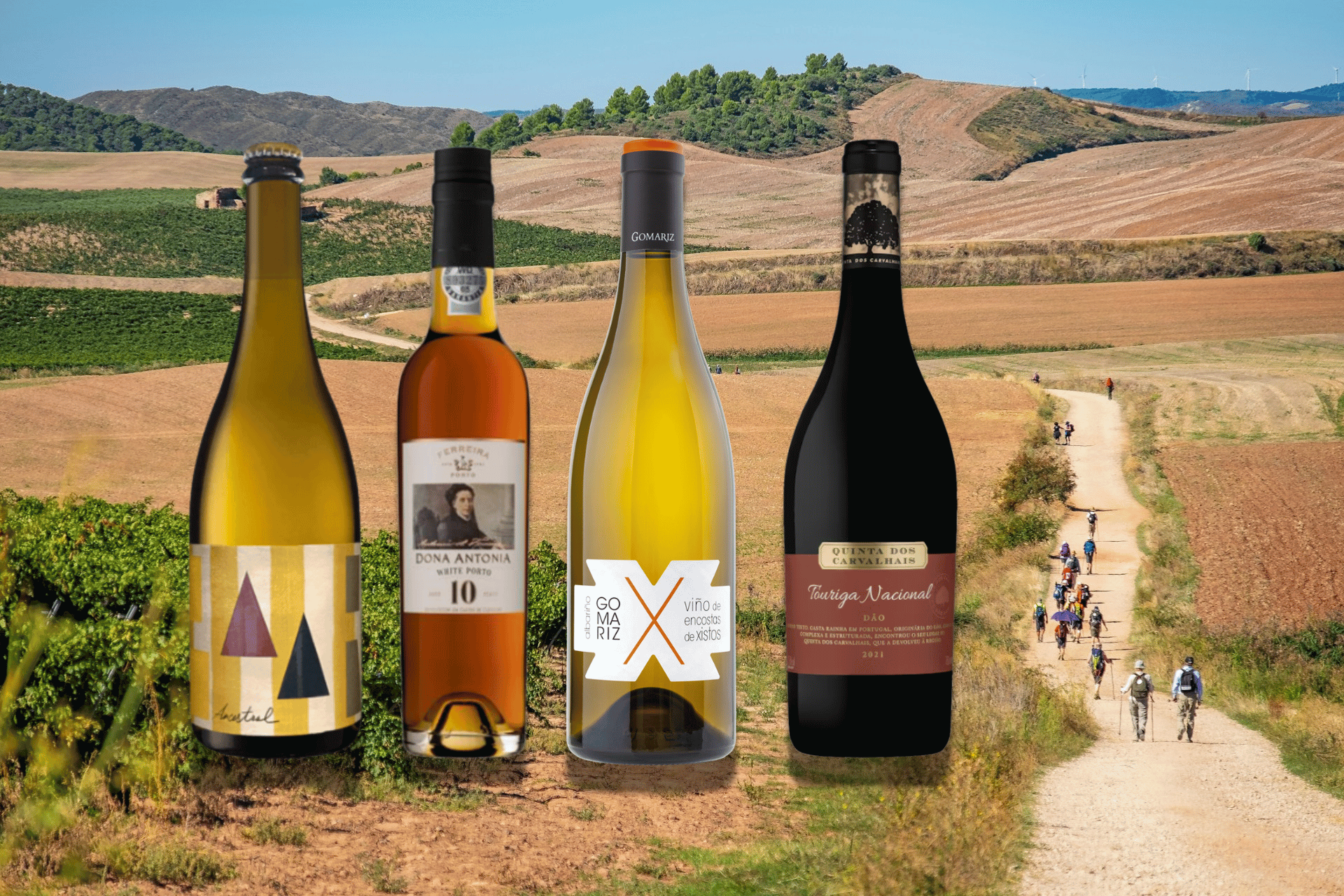 4 wines against the backdrop of a Camino trail - best wines for easter
