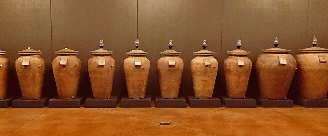 Amarone vs Ripasso vs Valpolicella | Italian Wine Guide - The Nude Wine Co