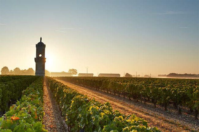 Bordeaux Wine Made Simple | What is Left Bank Vs Right Bank? - The Nude Wine Co
