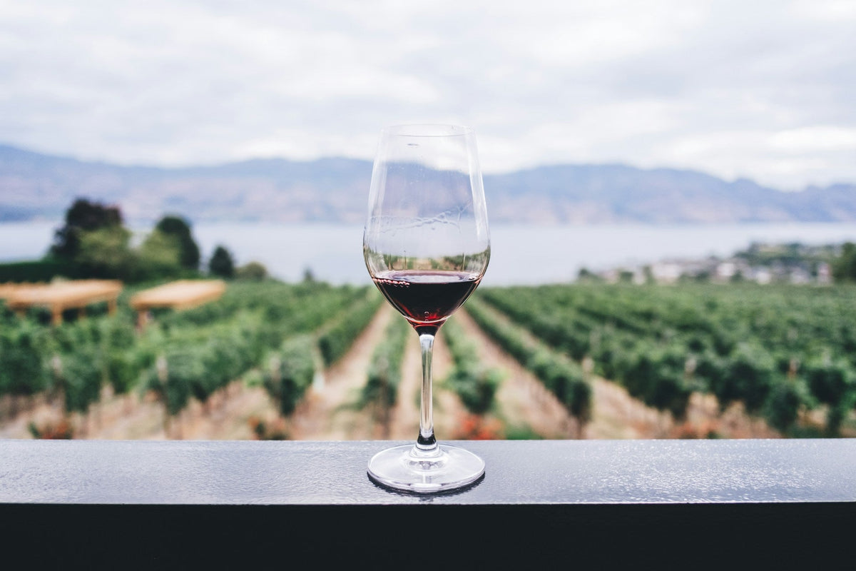 Scoring Your Wines - The Nude Wine Co