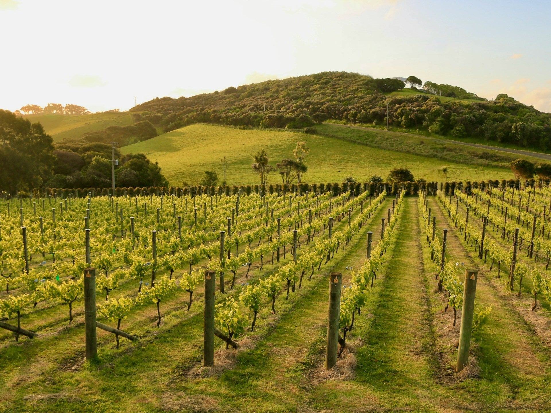 New Zealand