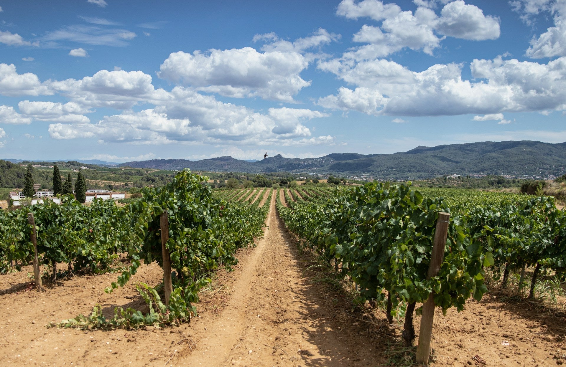 Spain