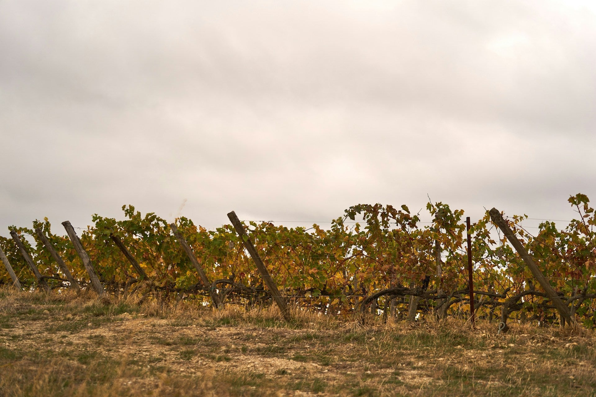 Rhone Valley