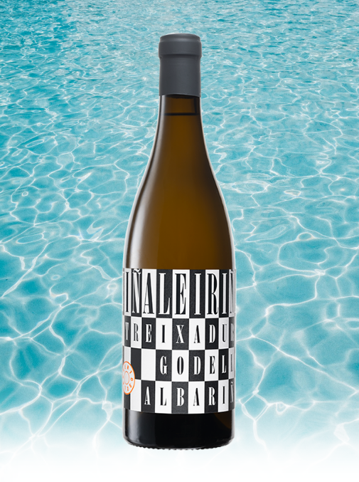 Vina Leirina, Albarino, Spain