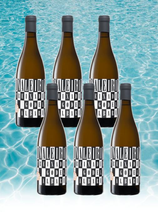 Case Deal: Vina Leirina, Albarino, Godello, Treixadura, Spain