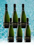 Case Deal: Maria Casanovas Cava de Brut