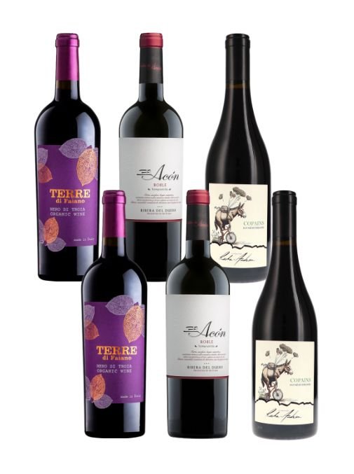 Ireland AM - Autumn Velvet Reds - Full Case - The Nude Wine Co