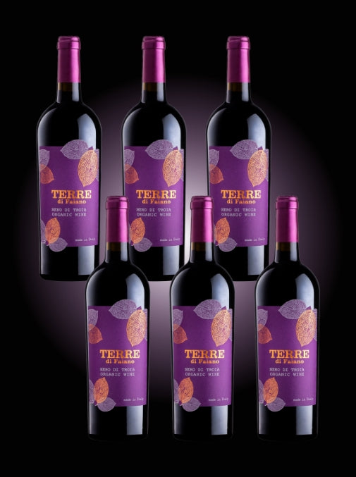 Black Friday Case Deal: Terre di Faiano, Nero di Troia, Southern Italy