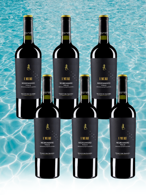 Case Deal: iMuri Negroamaro, Puglia, Italy