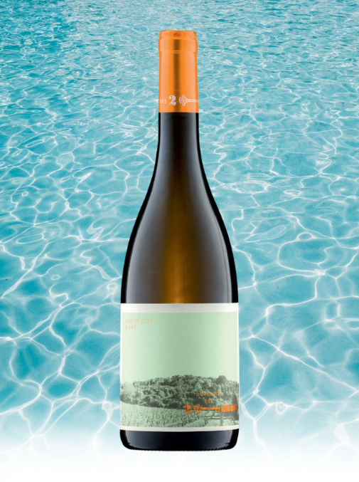 Domaine des Deux Clés "Jeux de Clés", Roussanne