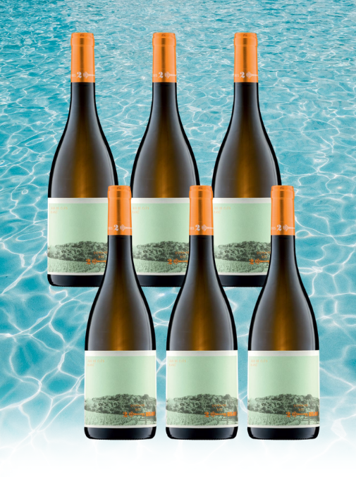 Case Deal: Domaine des Deux Clés "Jeux de Clés", Roussanne