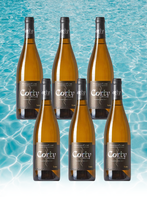 Case Deal: Pouilly Fume, Domaine Corty 'Intro', Loire