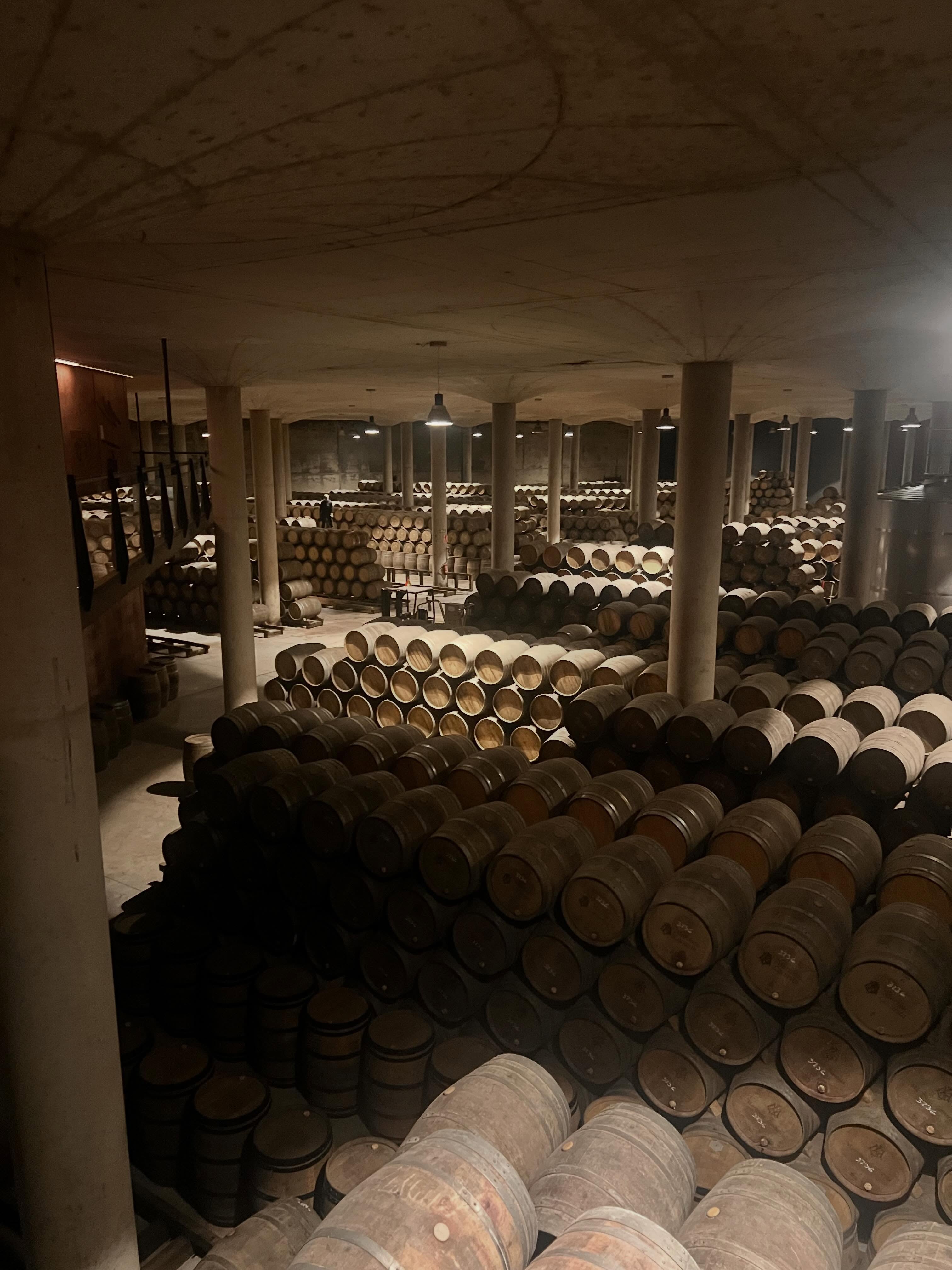 Michelle's Ultimate Rioja Wine Experience Box