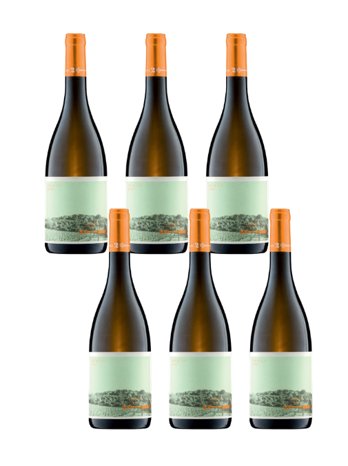 Case Deal: Domaine des Deux Clés "Jeux de Clés", Roussanne