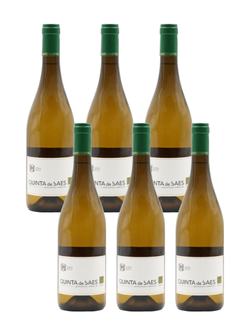 Case Deal: Quinta de Saes, White, Portugal