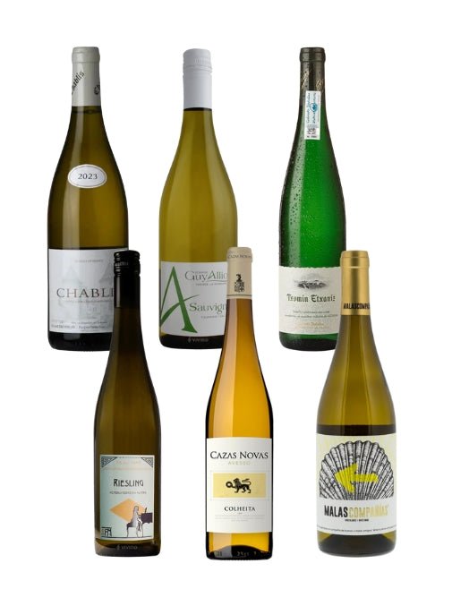 Catch of the Day Box - Wine for Seafood - The Nude Wine Co