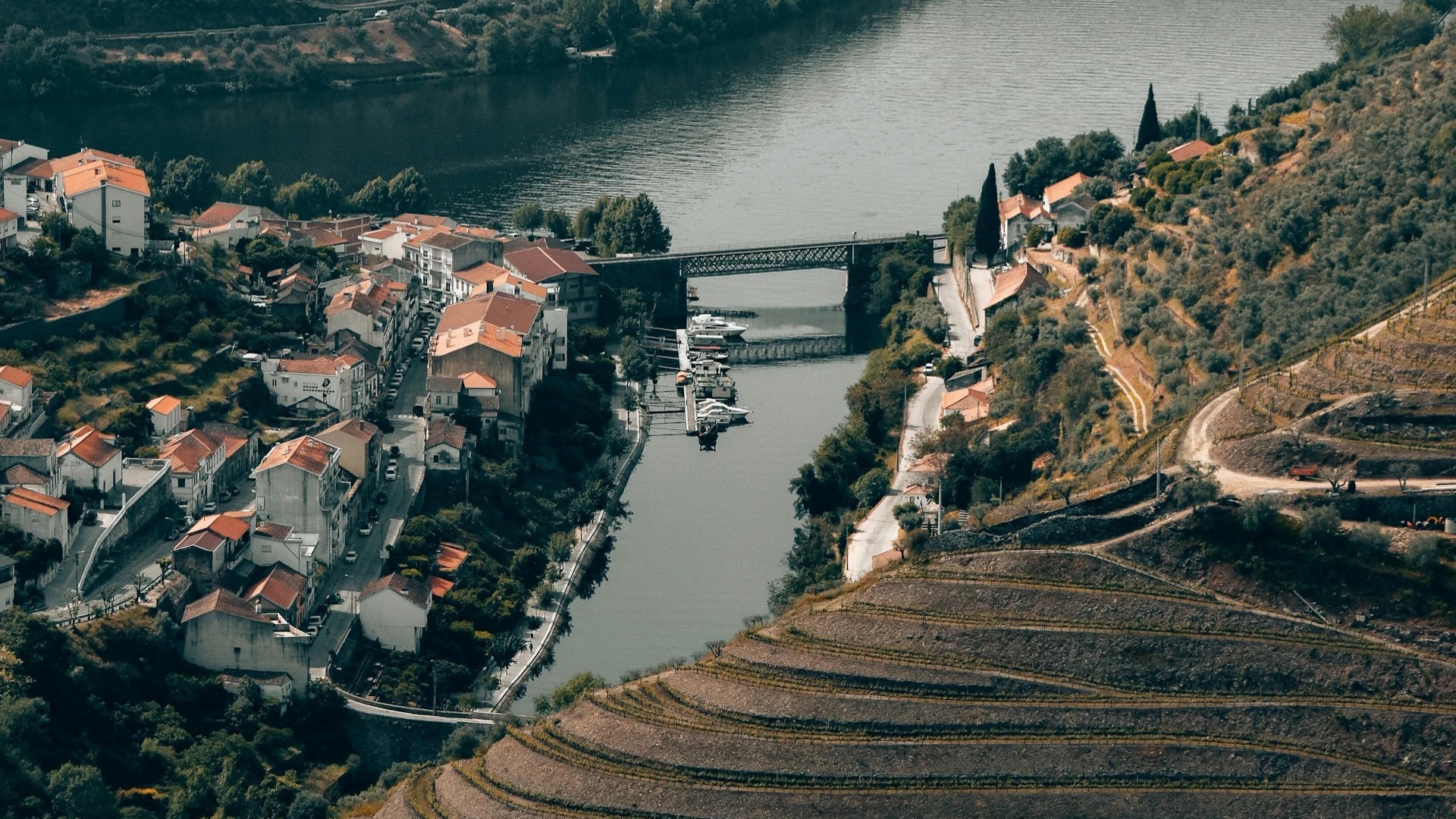 Village of Douro in Portugal by a river with terraced hillsides