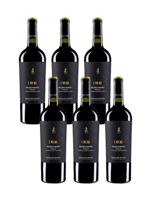 Case Deal: iMuri Negroamaro, Puglia, Italy 2023