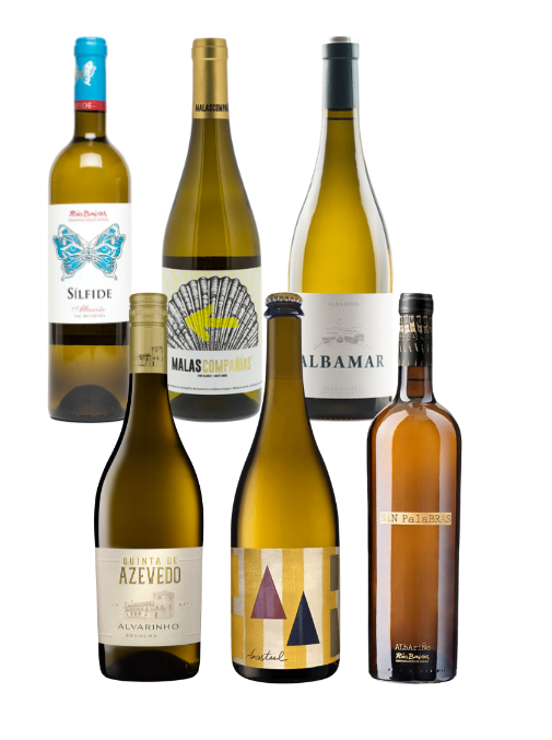 Premium Albarino Wine Experience Box