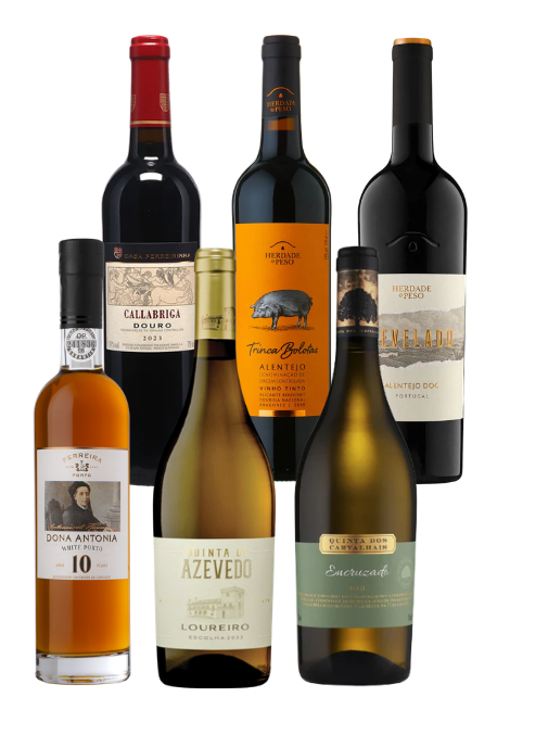 Premium Portuguese Wine Experience | Mixed Box