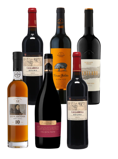 Premium Portuguese Wine Experience | Red Box