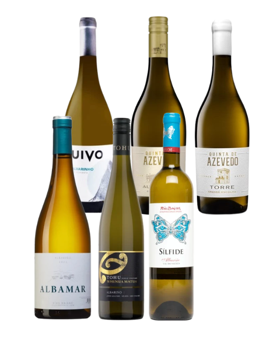 Premium albarino wine experience