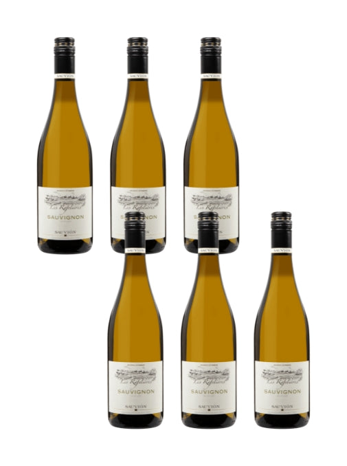 Six bottles of Sauvignon blanc wine on a white background