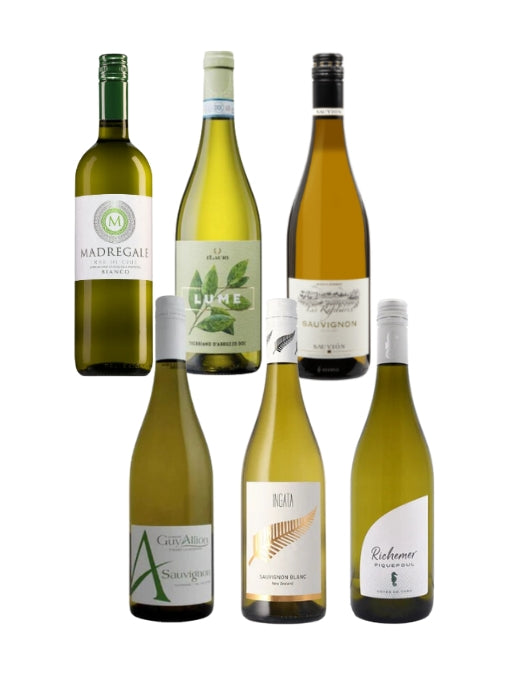 Classic Sauvignon Lovers Box