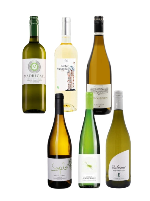 Anything But Chardonnay Box
