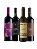 Southern Italian Red Wine Box | Mini Collection