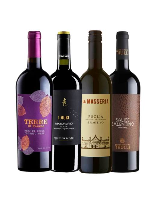Southern Italian Red Wine Box | Mini Collection