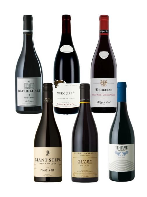 The Pinot Noir Explorers Box