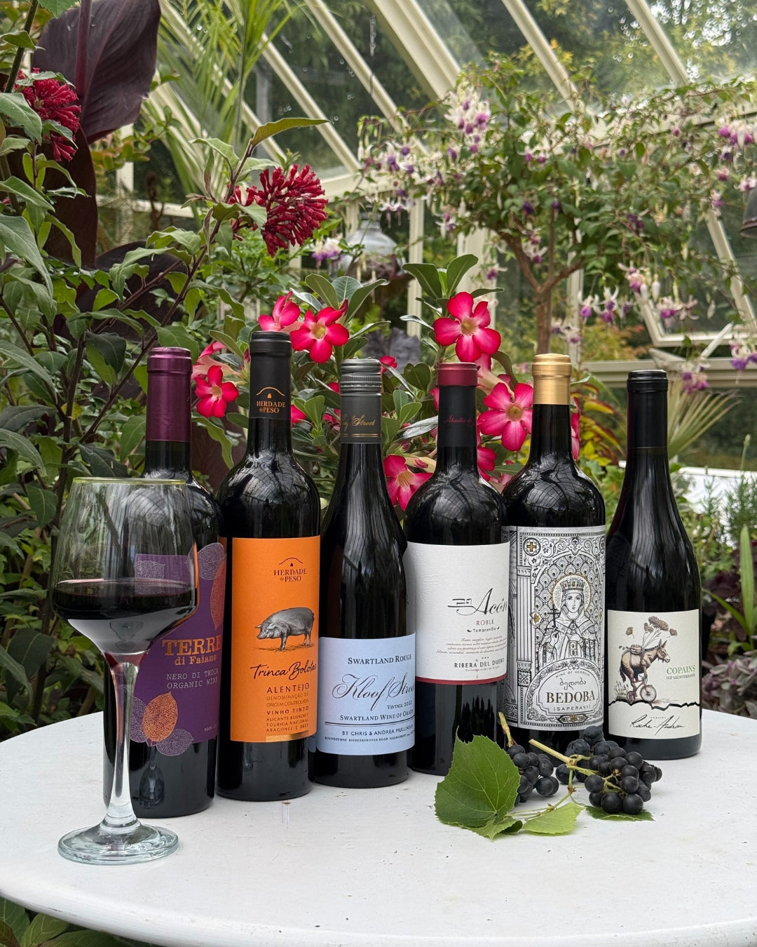 Assorted wine bottles on a table with a glass of red wine, surrounded by flowers and greenery.