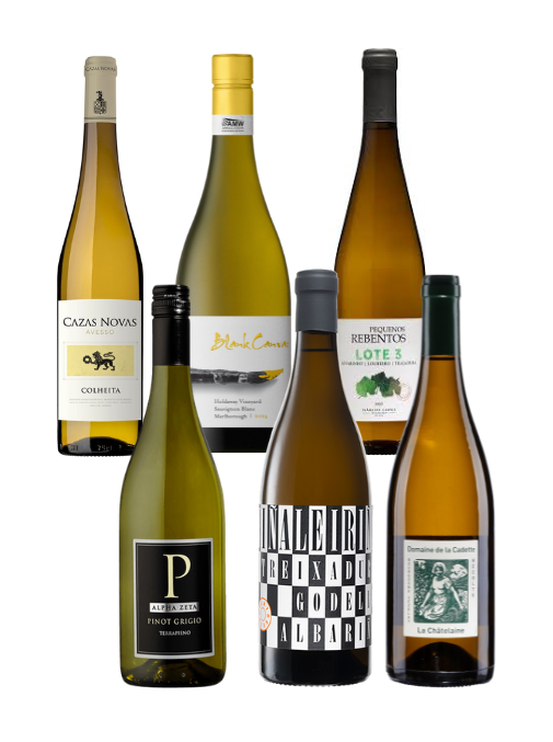 Wines of the Year 2025 | White Box