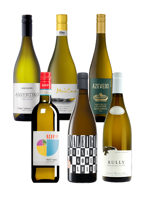 Wines of the Year 2025 | White Box