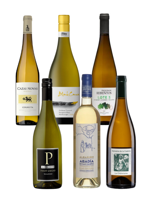 Wines of the Year 2025 | White Box