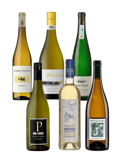 Wines of the Year 2025 | White Box