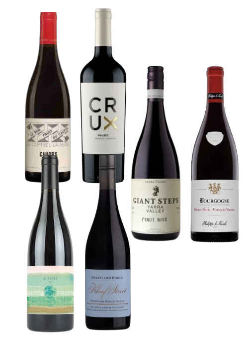 new world vs old world red wine challenge 
